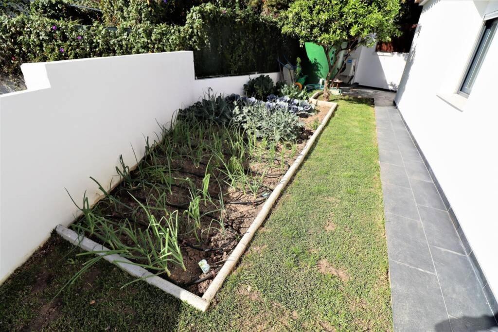 Hoyo 19 Villa Marbella Exteriör bild